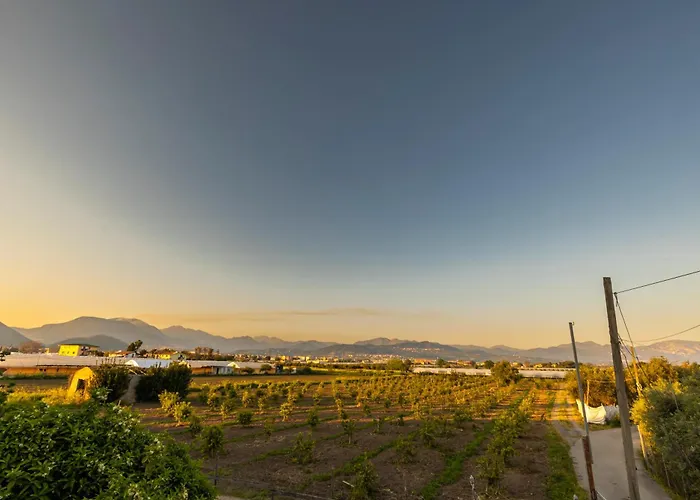 Cientopera Гостевой дом 4*